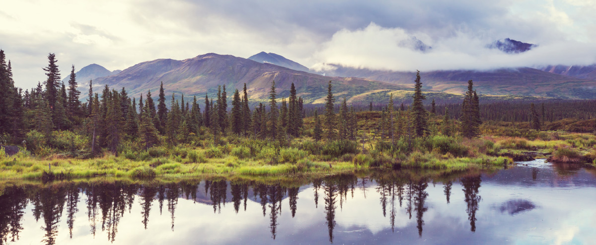 mountainous lakeside view with trees in the water reflection
