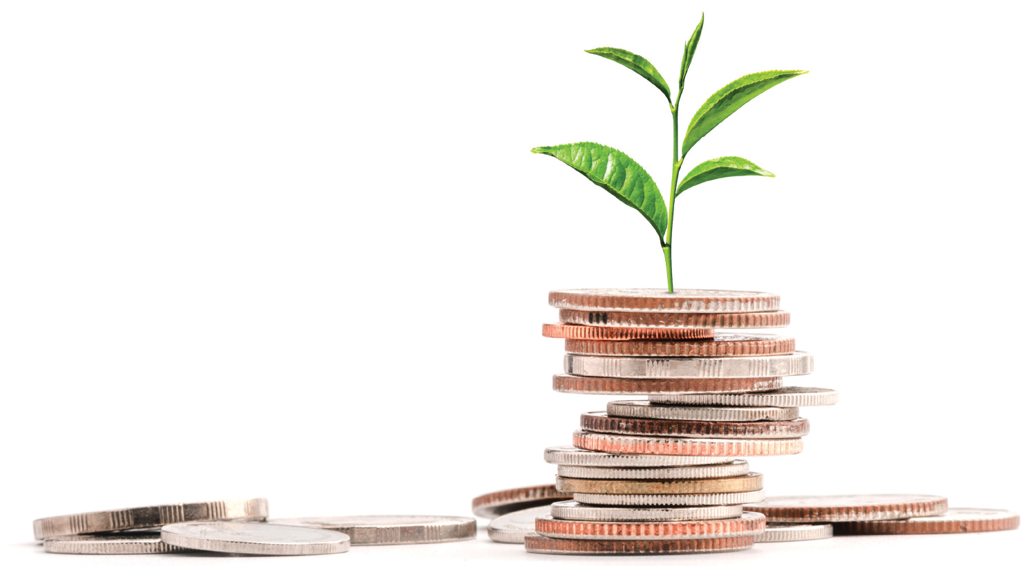 A stack of various coins with a green sprout growing from the top.
