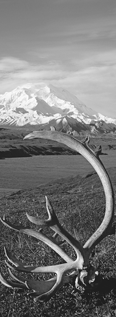 December focused editorial