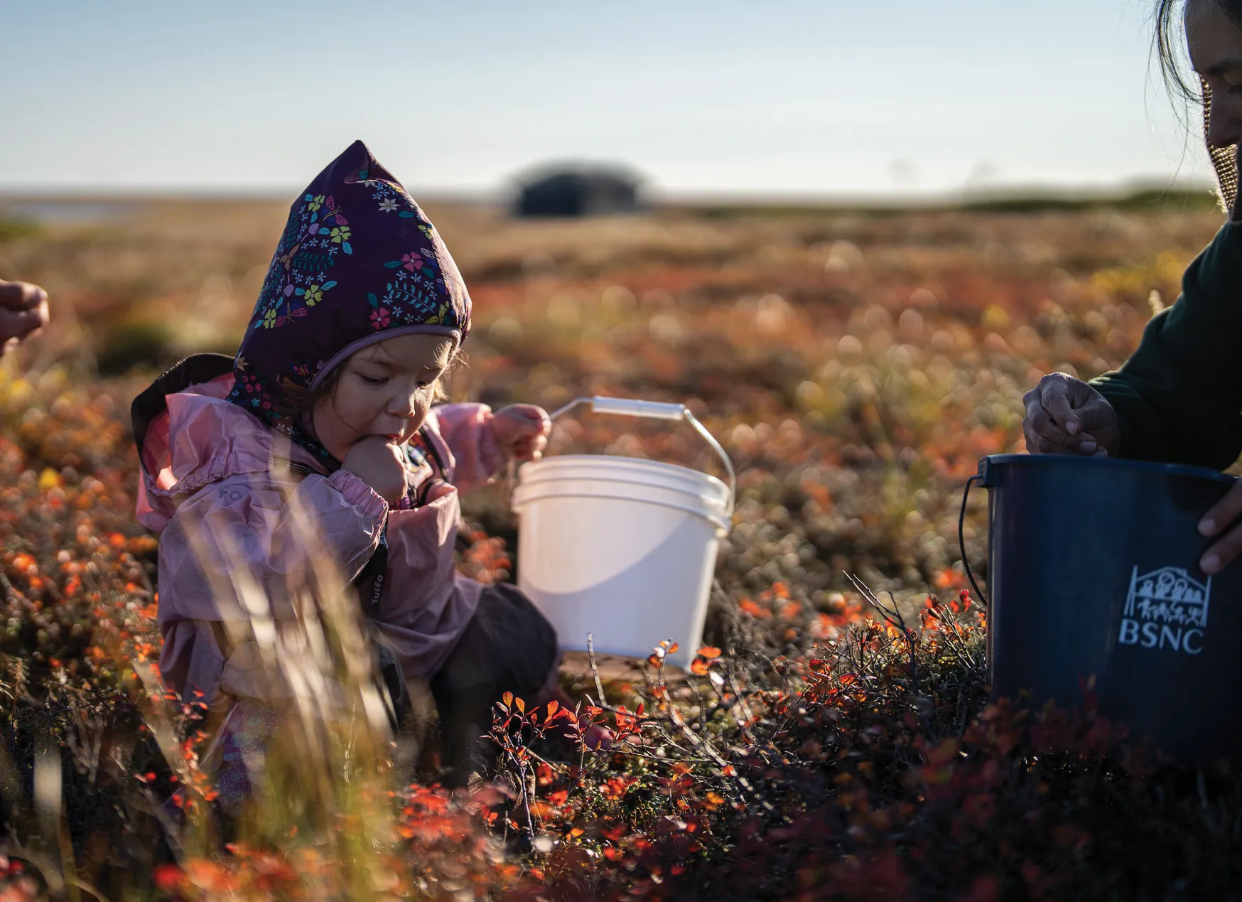 Child in a floral hooded jacket sits in a field, holding a white bucket, surrounded by colorful foliage.