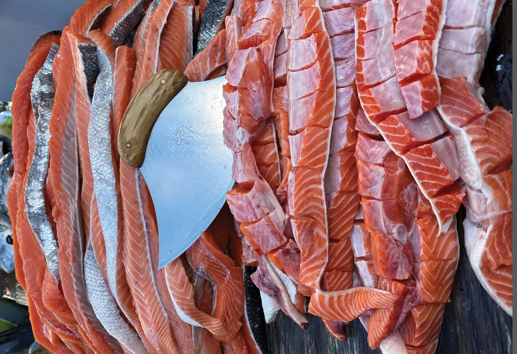 Raw salmon fillets arranged on a surface with a large cleaver resting among them.