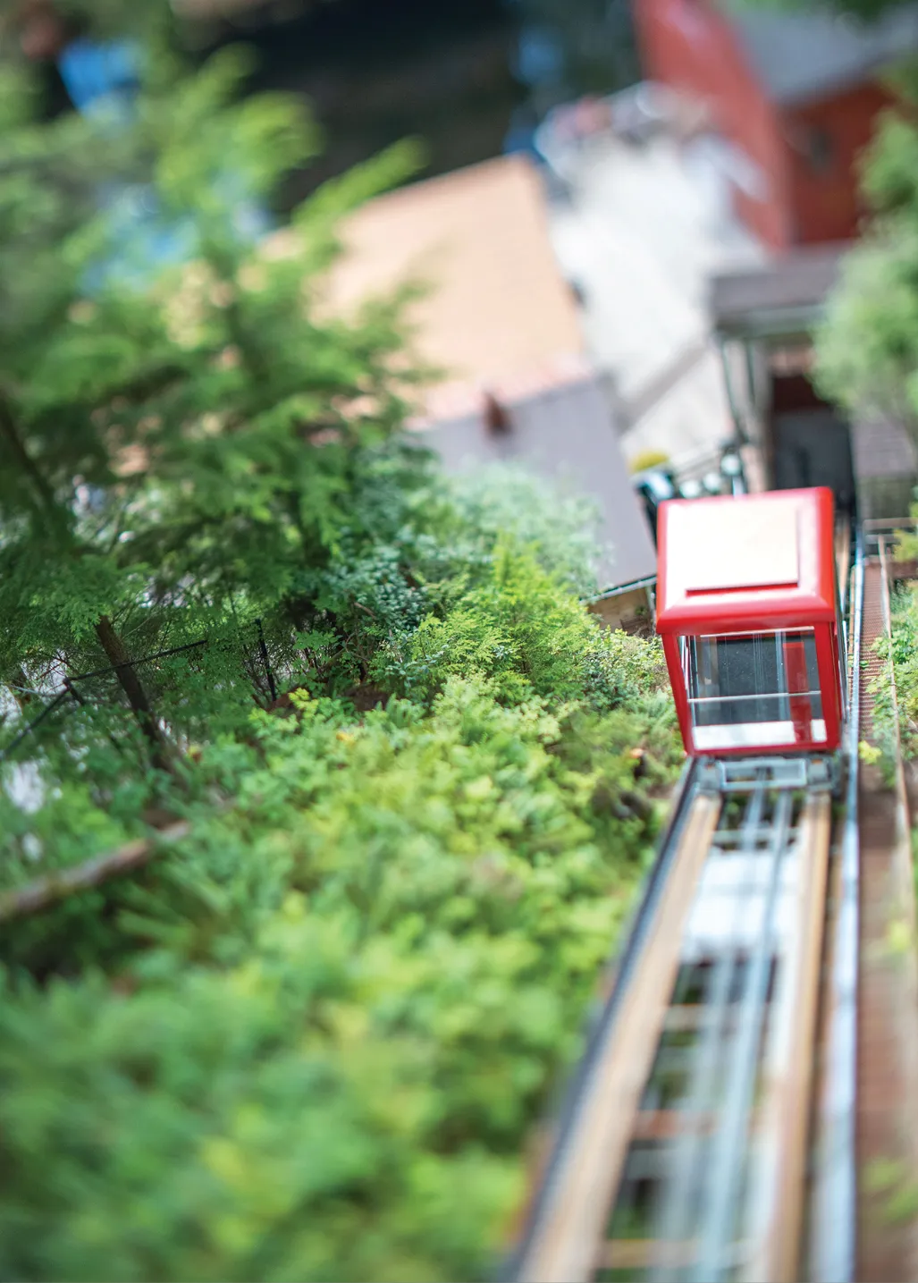 Red cable car traveling along a track surrounded by lush greenery.