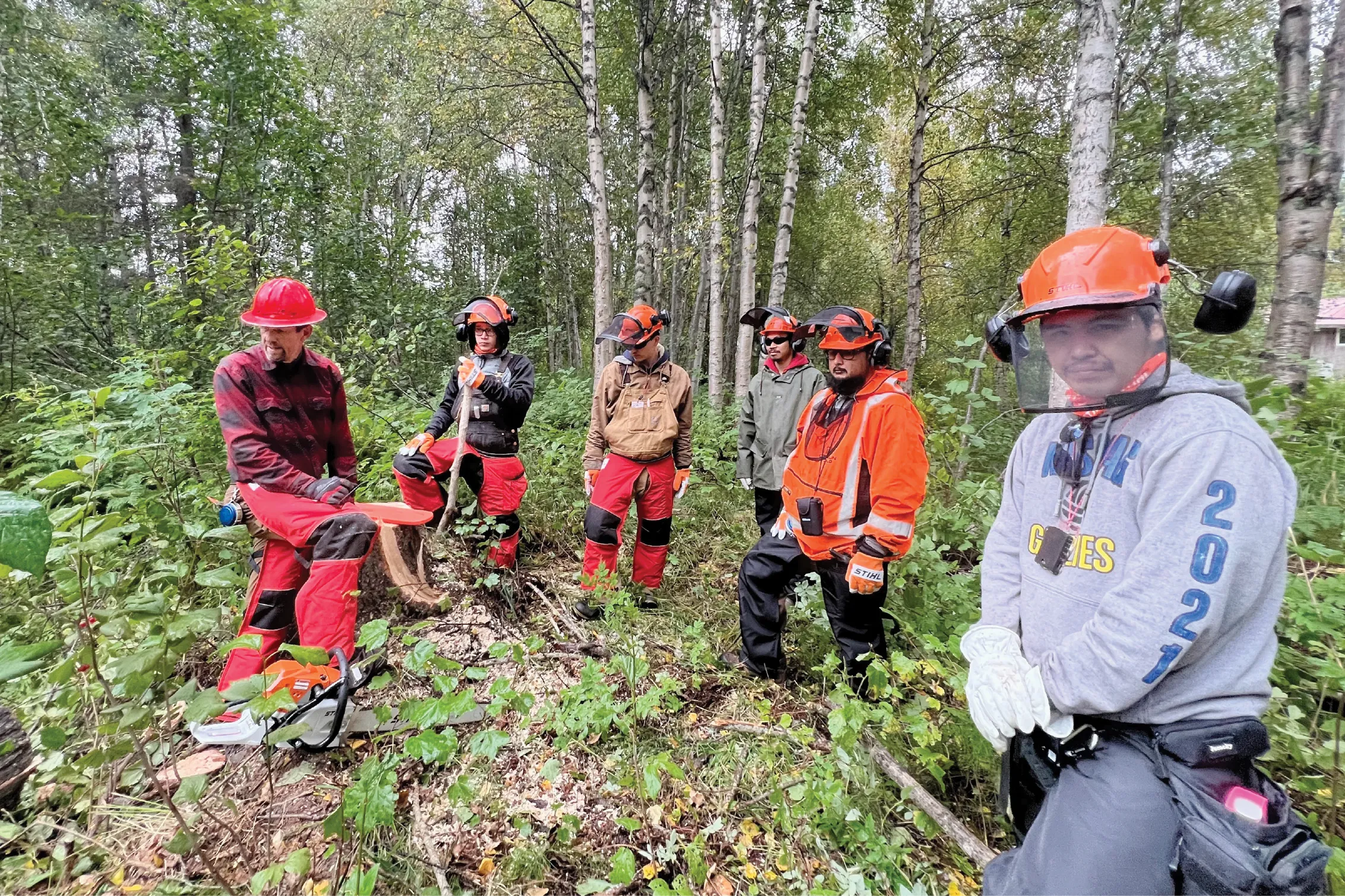 Six people in safety gear stand in a forest, discussing tree cutting techniques near a fallen tree.
