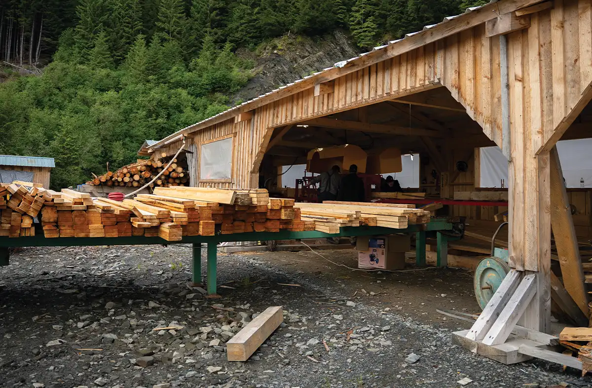 Small, open-air sawmill structure with stacks of freshly cut timber and dimensional lumber ready for processing, surrounded by a dense forest