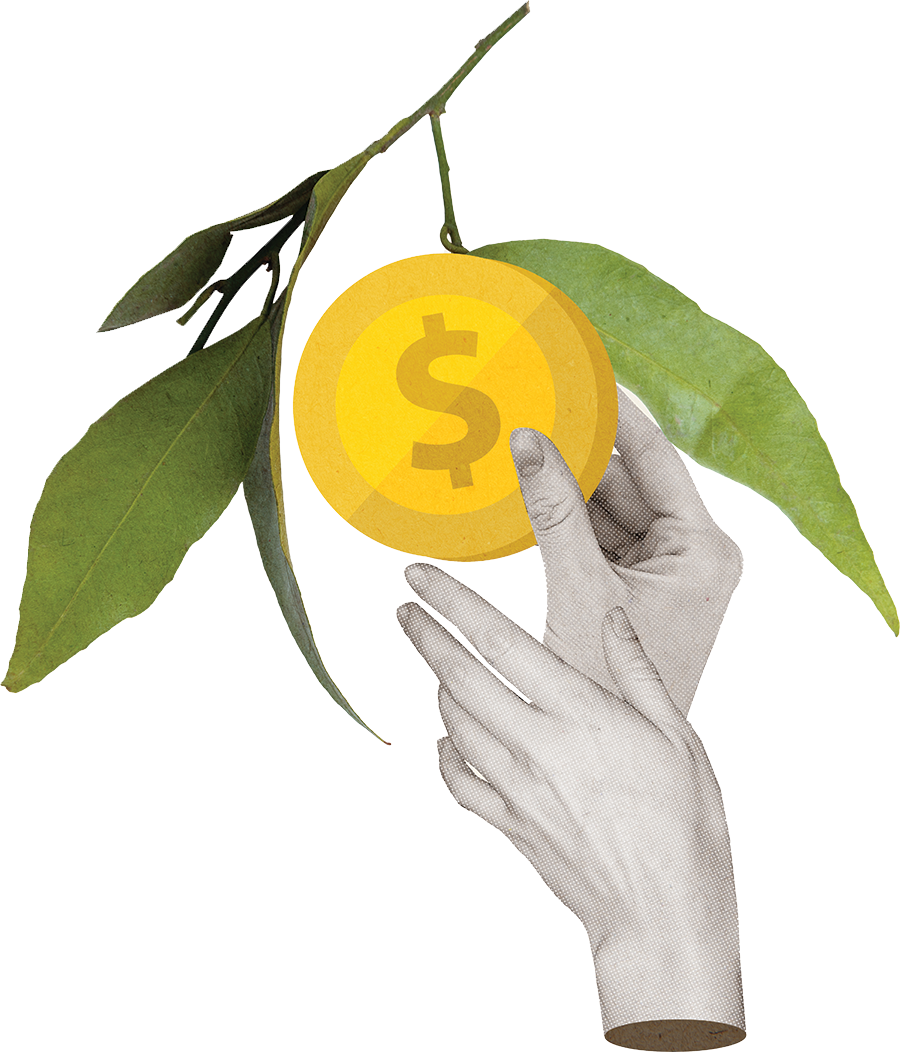 two hands plucking a coin with dollar sign from hanging branch