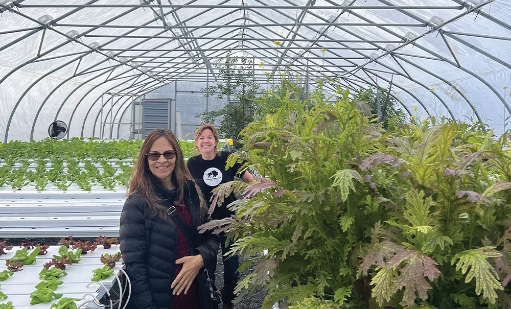 Two women stand inside a large, arched, plastic-covered hoop house (high tunnel) at Sitkalidak Sunrise Farm, surrounded by hydroponic lettuce on white racks and tall leafy green plants in the foreground.
