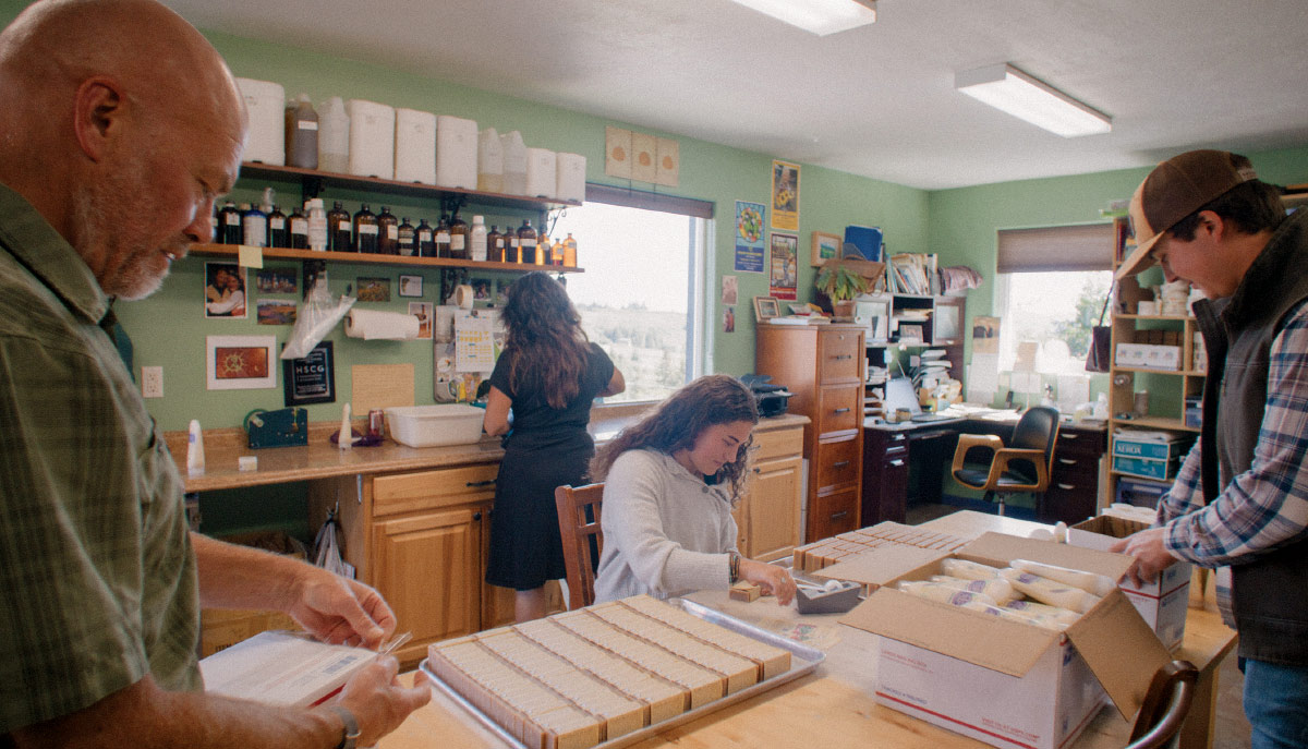 Four people work in a green-walled workshop, packing boxes of soap bars and preparing natural beauty products.