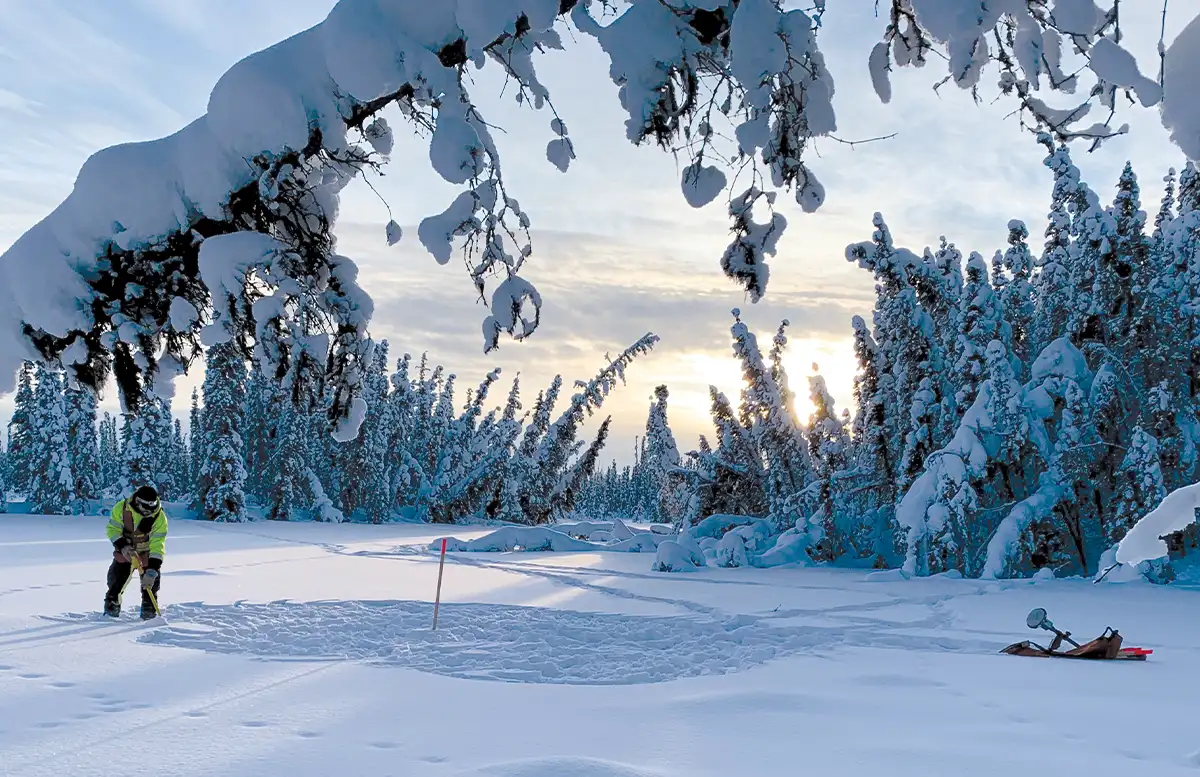 Field professional conducting arctic research or site preparation in a snow-covered landscape with heavy frost on evergreen trees during an Alaskan winter
