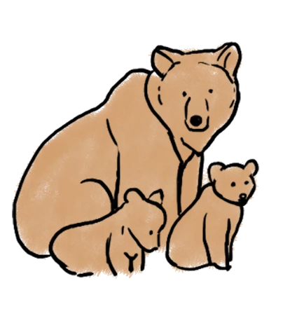 Illustration of a bear with two cubs in a simple hand-drawn watercolor style.