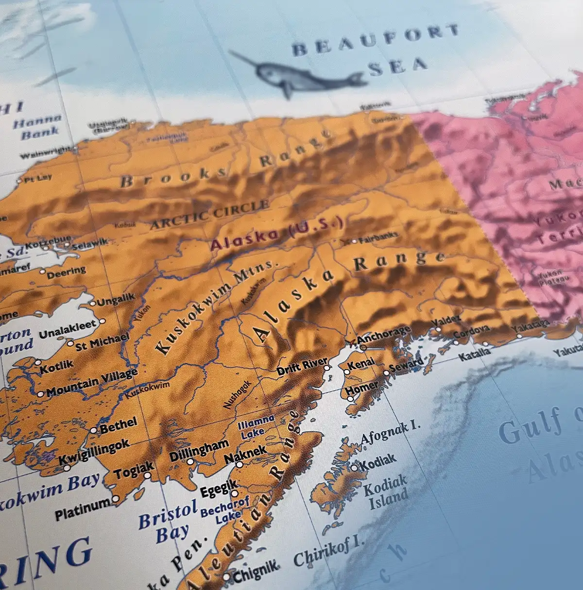 Close-up, angled view of a physical map of Alaska featuring an illustration of a narwhal swimming in the Beaufort Sea. Labels indicate major mountain ranges and cities across the state.