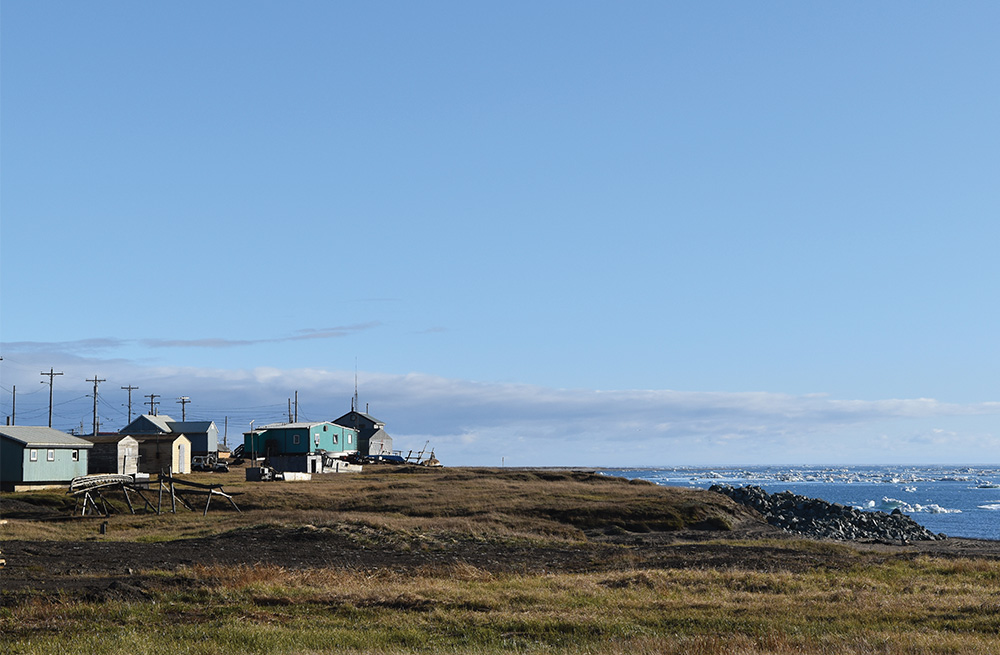 A row of small, weathered houses stands on a grassy bluff overlooking a vast, blue sea filled with scattered ice chunks under a clear sky.