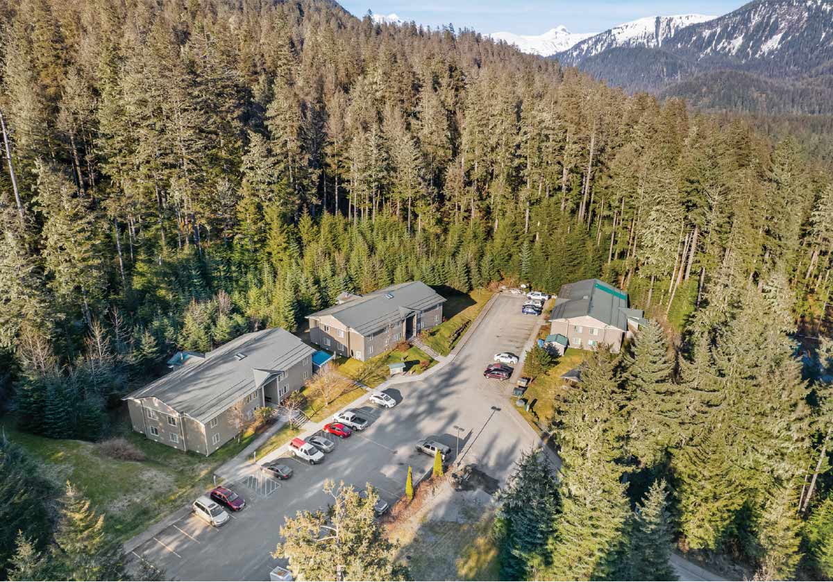 Aerial perspective of three gray apartment buildings and their associated parking lots, bordered by a wall of tall evergreen trees.