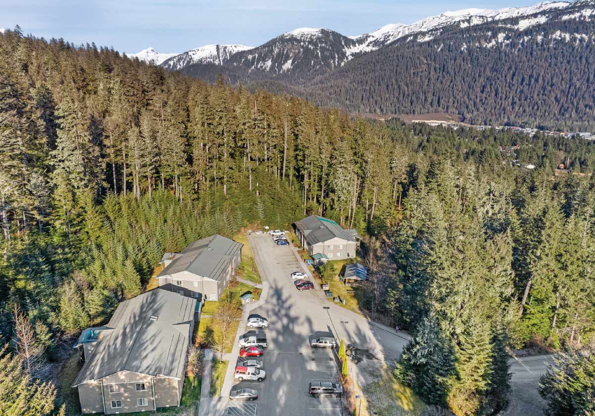 Wide aerial shot showing residential apartment buildings situated along a tree-lined road, with vast forested hills and distant snowy mountains.
