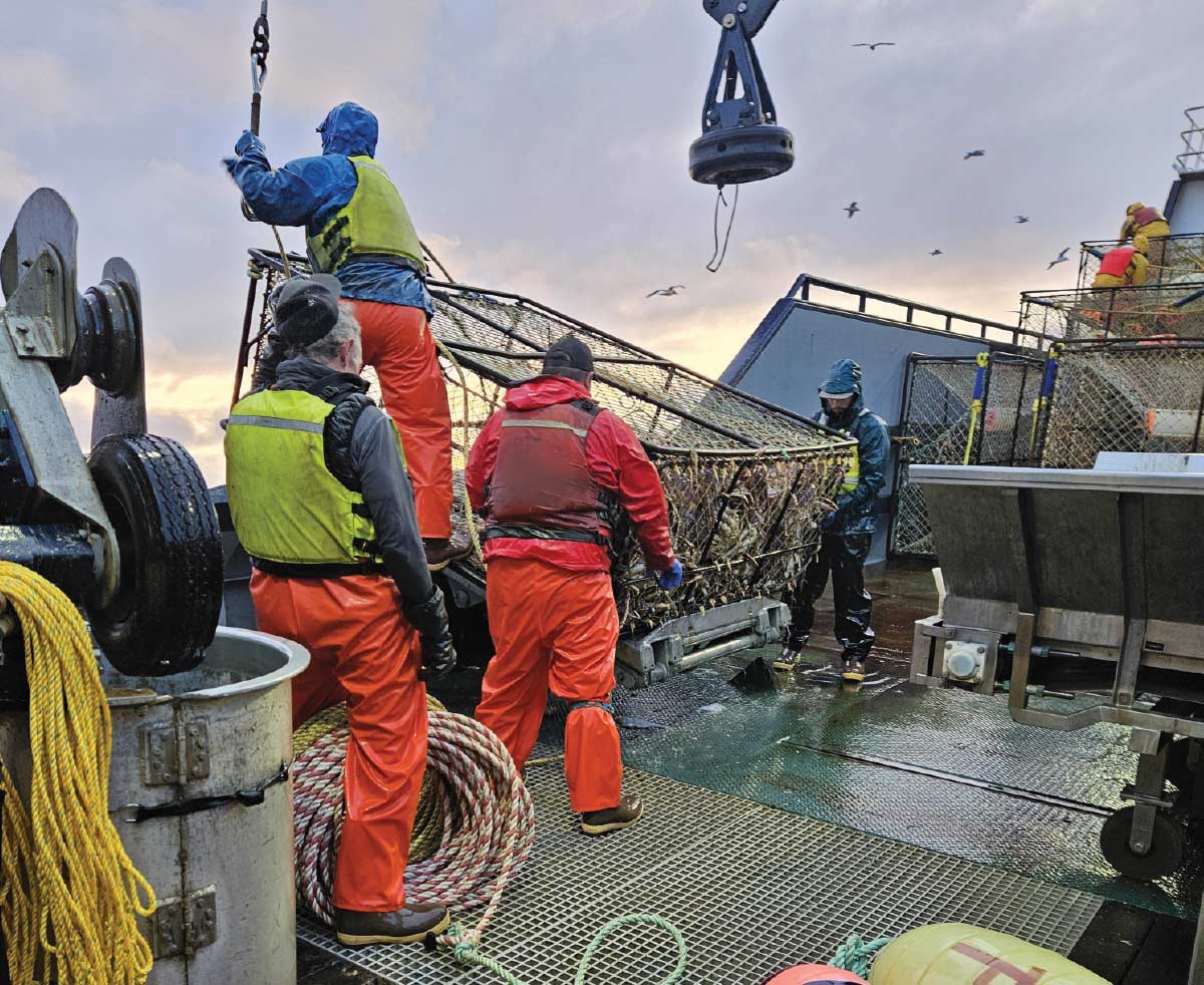 Fishing crew members on a ship's deck maneuver a large metal crab pot suspended by a crane during a cloudy day at sea.
