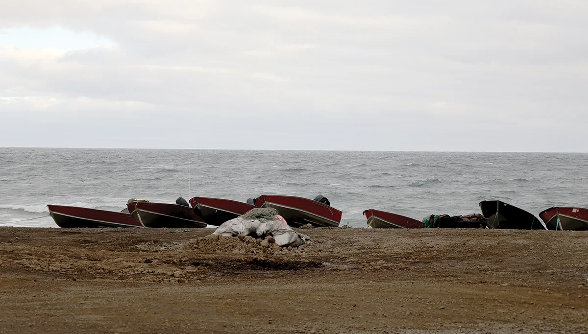 A row of small red and black motorized skiffs pulled up onto a rocky beach in Alaska, with a large whale skull resting on the gravel in the foreground against a choppy grey sea