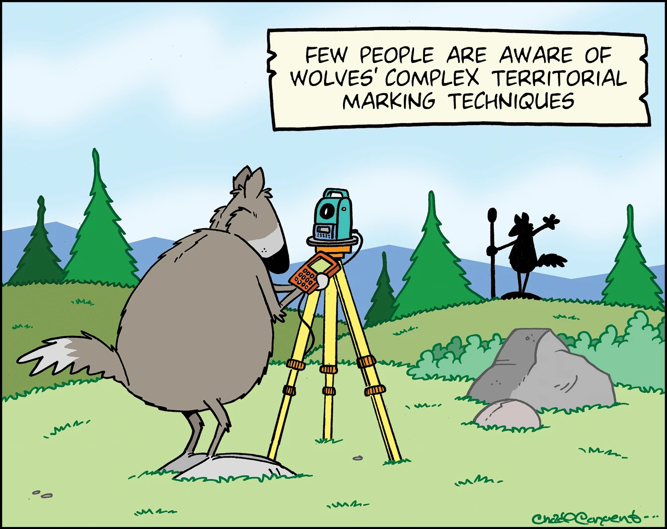 Cartoon of a wolf using surveying equipment in a forest while a raven marks a post, with caption about wolves’ territorial marking techniques.