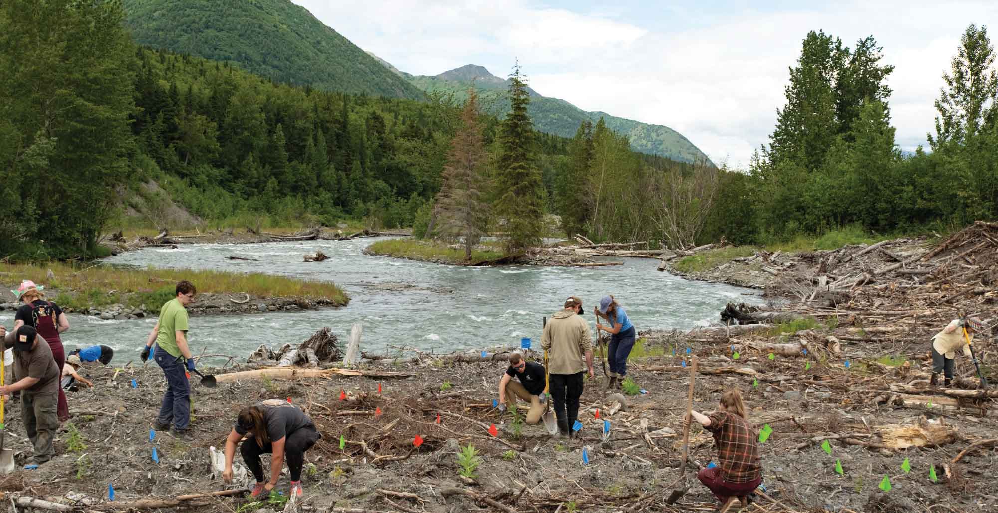 A group of volunteers plants trees along a rocky riverbank in a lush mountain valley, using colorful flags to mark their progress.