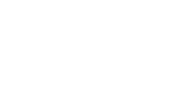 Corey Nichols VP & Alaska General Manager TOTE Maritime Alaska