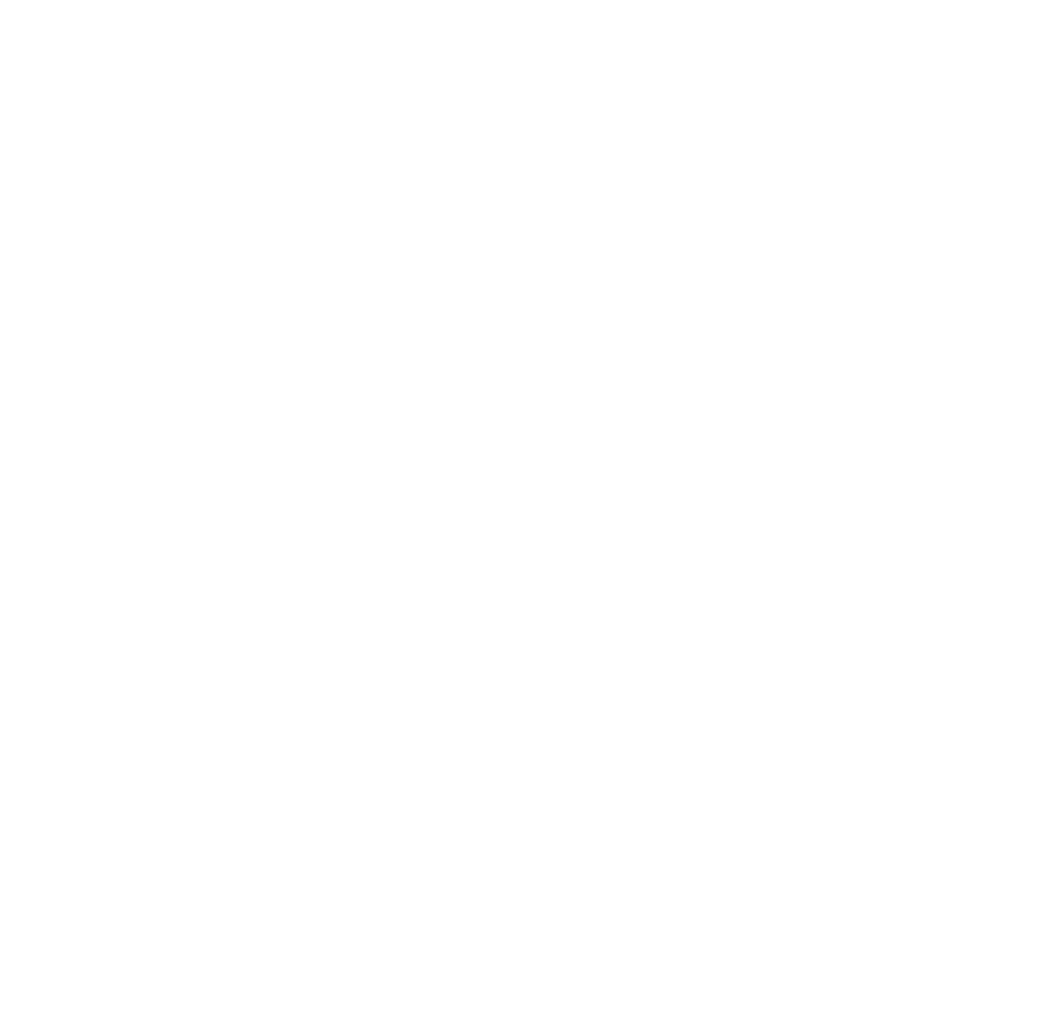 X icon