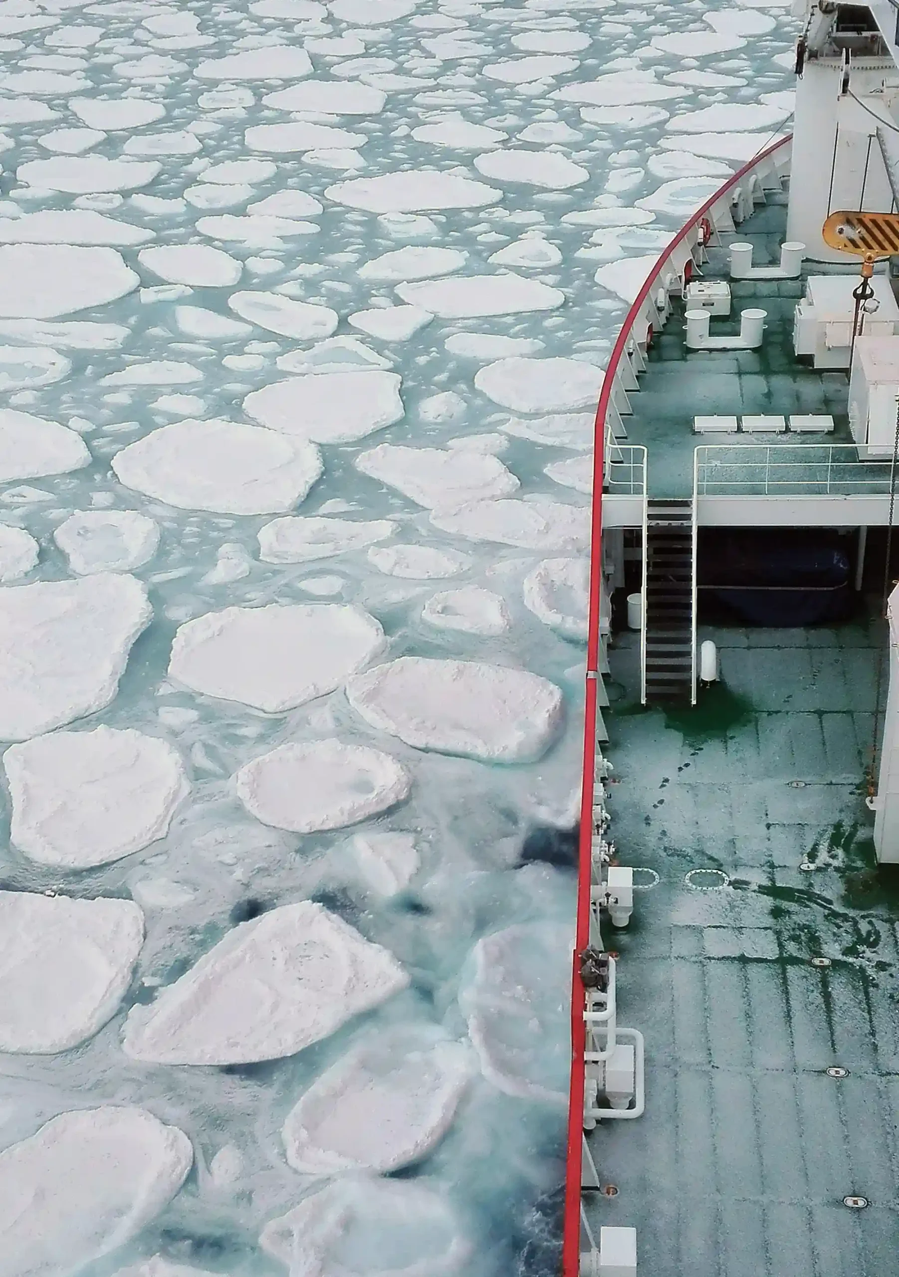 An overhead view of a ship's deck and red railing navigating through cold ocean waters covered with circular, floating pancake ice floes.