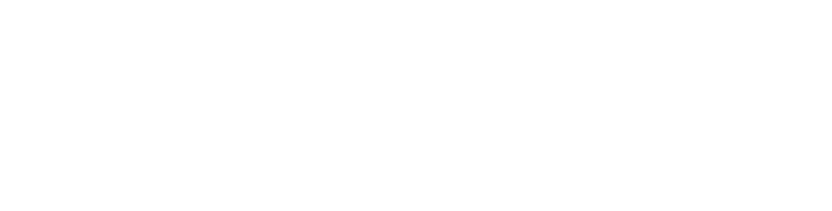 Visit Anchorage Alaska logo