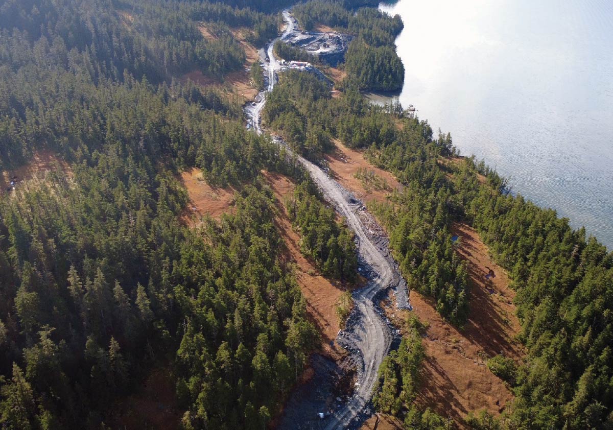 Aerial view of a dirt access road cut through dense green forest along a coastline.