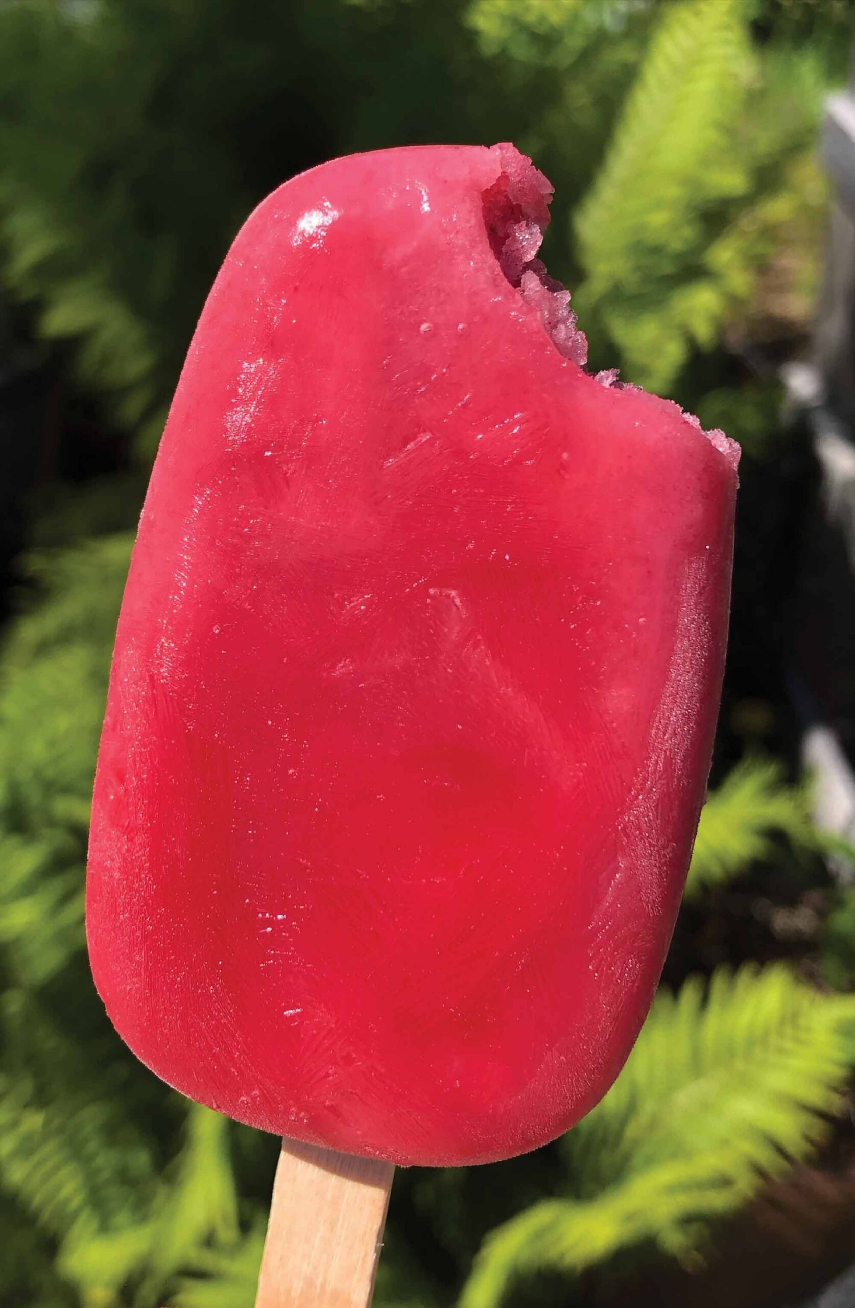 A hand holding a bright pink, partially eaten popsicle outdoors.