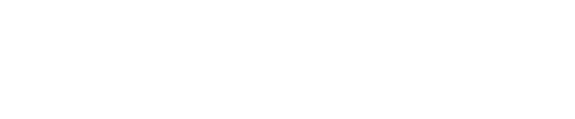 first national bank alaska logo