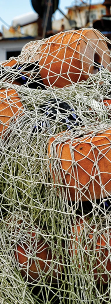 Commercial fishing net filled with salmon representing natural resource development.