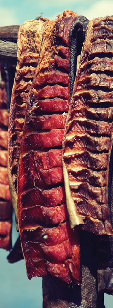 Rows of salmon drying on wooden racks represent Alaska Native industries.