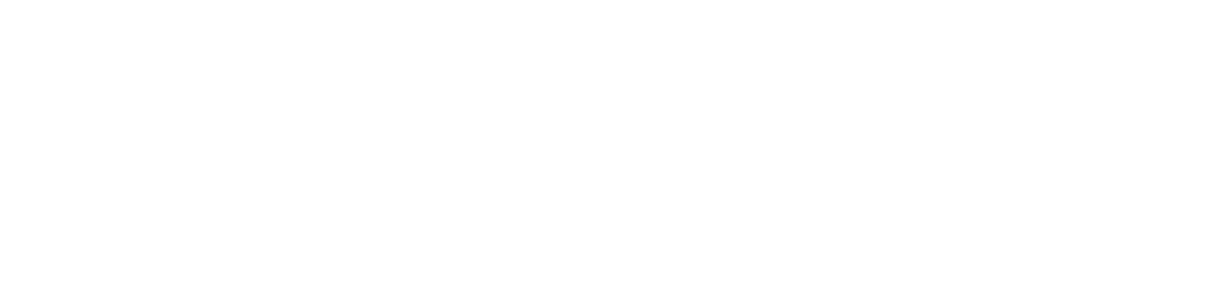 Schwabe logo