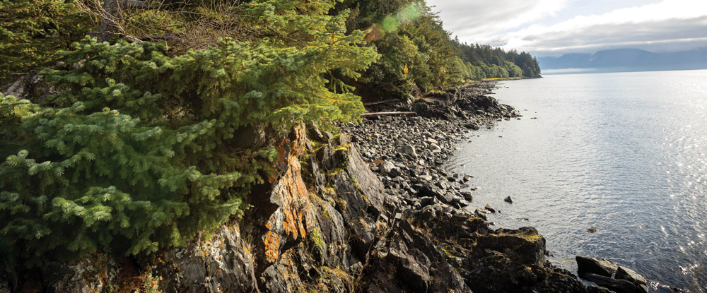 The future site of Goldbelt Aaní, a modern cruise destination on Douglas Island.